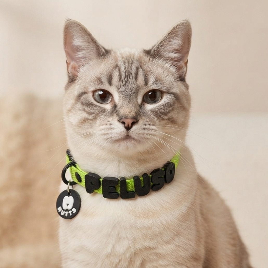 Collar Letritas Mini